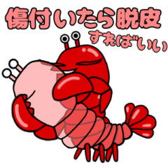 Lobster,EBITA 2.