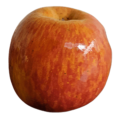 Food Series : Some Apple