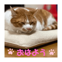 Akiko_20211204011140