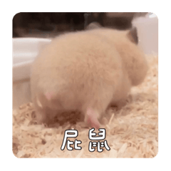 Xuan_20211204103702