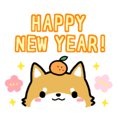 Shiba Inu New Year's Sticker – LINE stickers | LINE STORE