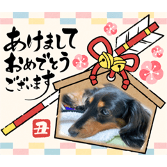 クレハ、おもち、れもん