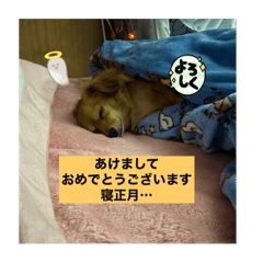 junko_20211204190247