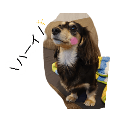 Yukari_20211204220038