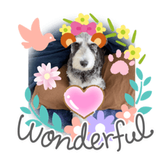 Ayumi_20211204220133