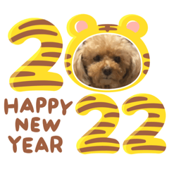 Yuina_20211204225805