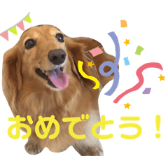 akiko_20211205063450