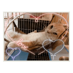 hana_20211205083346