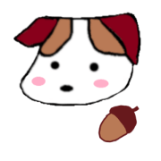 The dog's name is DONGURI JRT