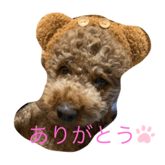 Haruna_20211204224705