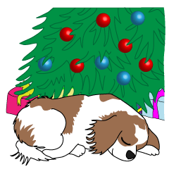 with Dogs, at Christmas : Cavalier