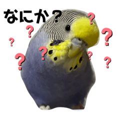 Saori_20211205020043