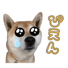 kotetsukotetsukotetsu