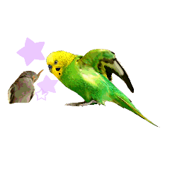 Tiel More GREETING in Japanese