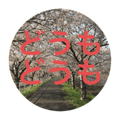 桜川市の自然