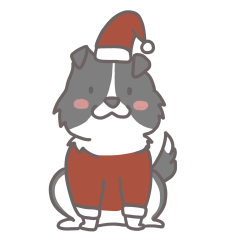 Border Collie : Christmas & New Year