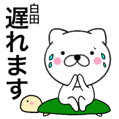 Name cat Shirota2
