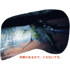 my fishing result 2017.11