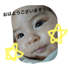 AKIPON!!