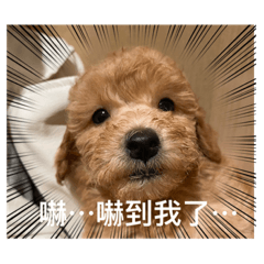 你在看我嗎？我是余丸喔！