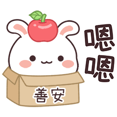 嬌嬌兔姓名貼_善安專用