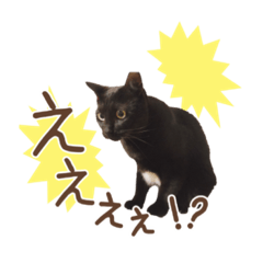 kuu_20211205153459