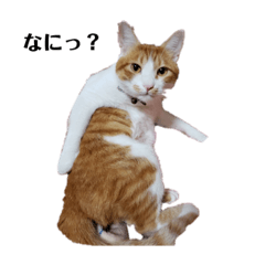 Akiko_20211205163340