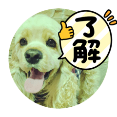 yuka_20211205164200