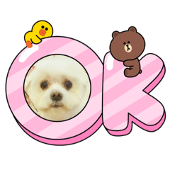 Nozomi_20211205163357