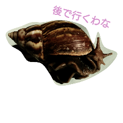 Snail stamp
