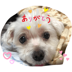 Nozomi_20211205213405