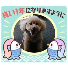aoi_20211205215057