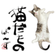 PONZU_20211205224708