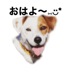 Saori_20211205202813