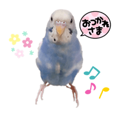 nanami_20211205212129