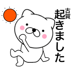 Name cat Koga