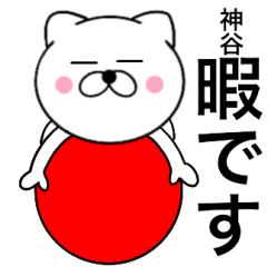 Name cat Kamiya1