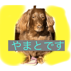 Yuto_20211206124814