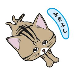 [Only for Akiyoshi](brown tabby)