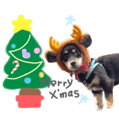 chie_20211205234028