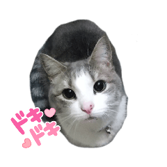 SAYA_20211206143804