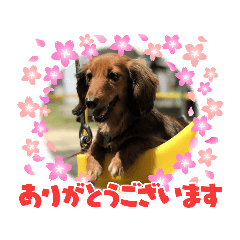 jean_20211206193102