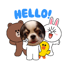 saori_20211206223851