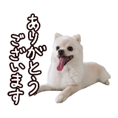cheeinu_20211206230230