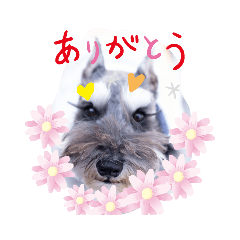 kai1016_20211206195911