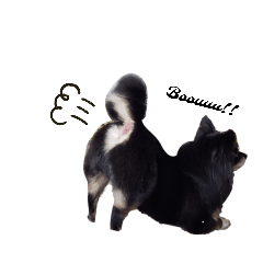 arisa_20211206224708