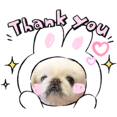 Natsumi_20211207000229