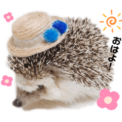 SAORI_20211207011221