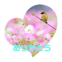 Emily_20211207082905