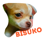 bisuko stamp